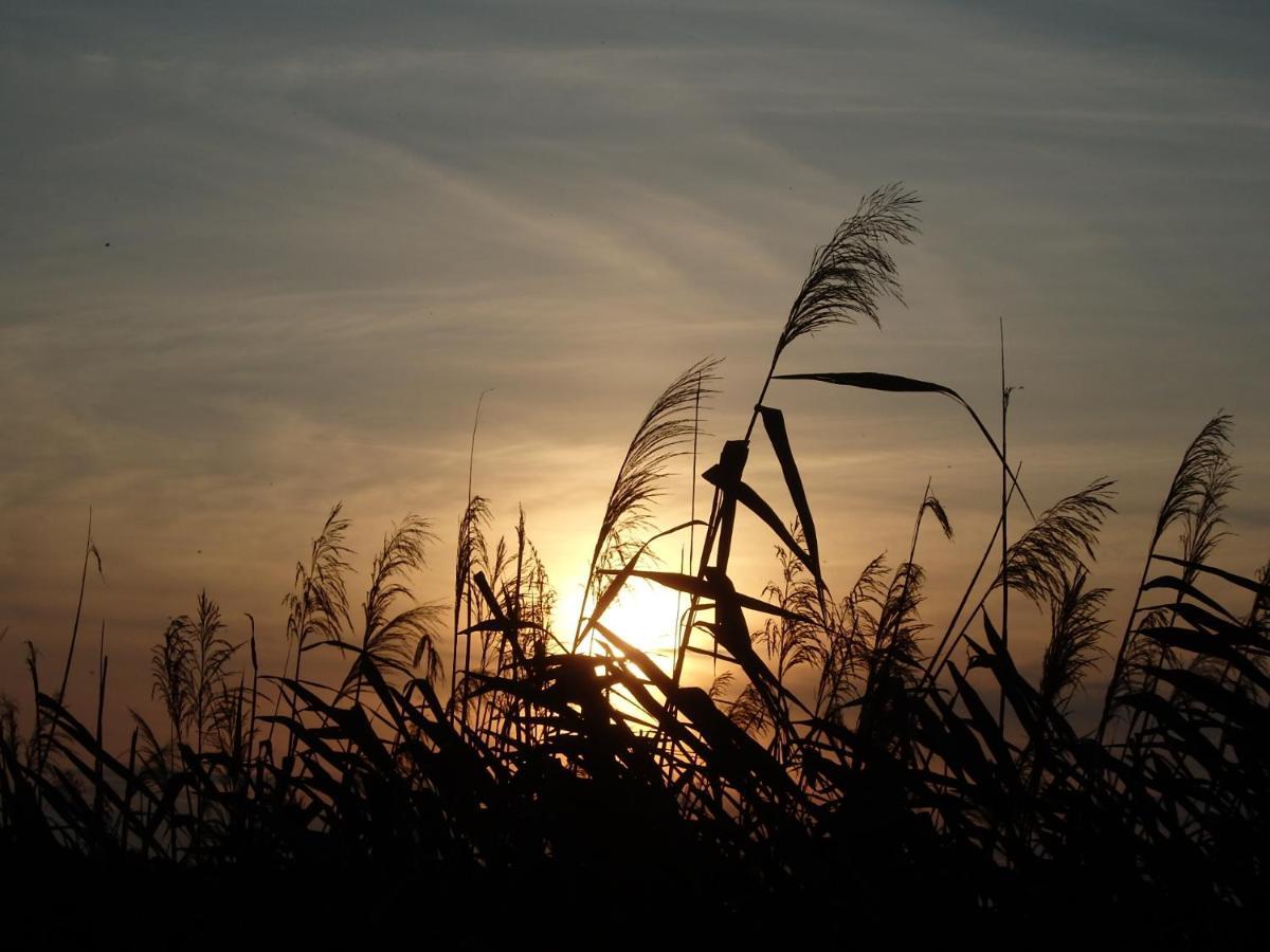 Krakowskie Mazury Gradzkie  エクステリア 写真