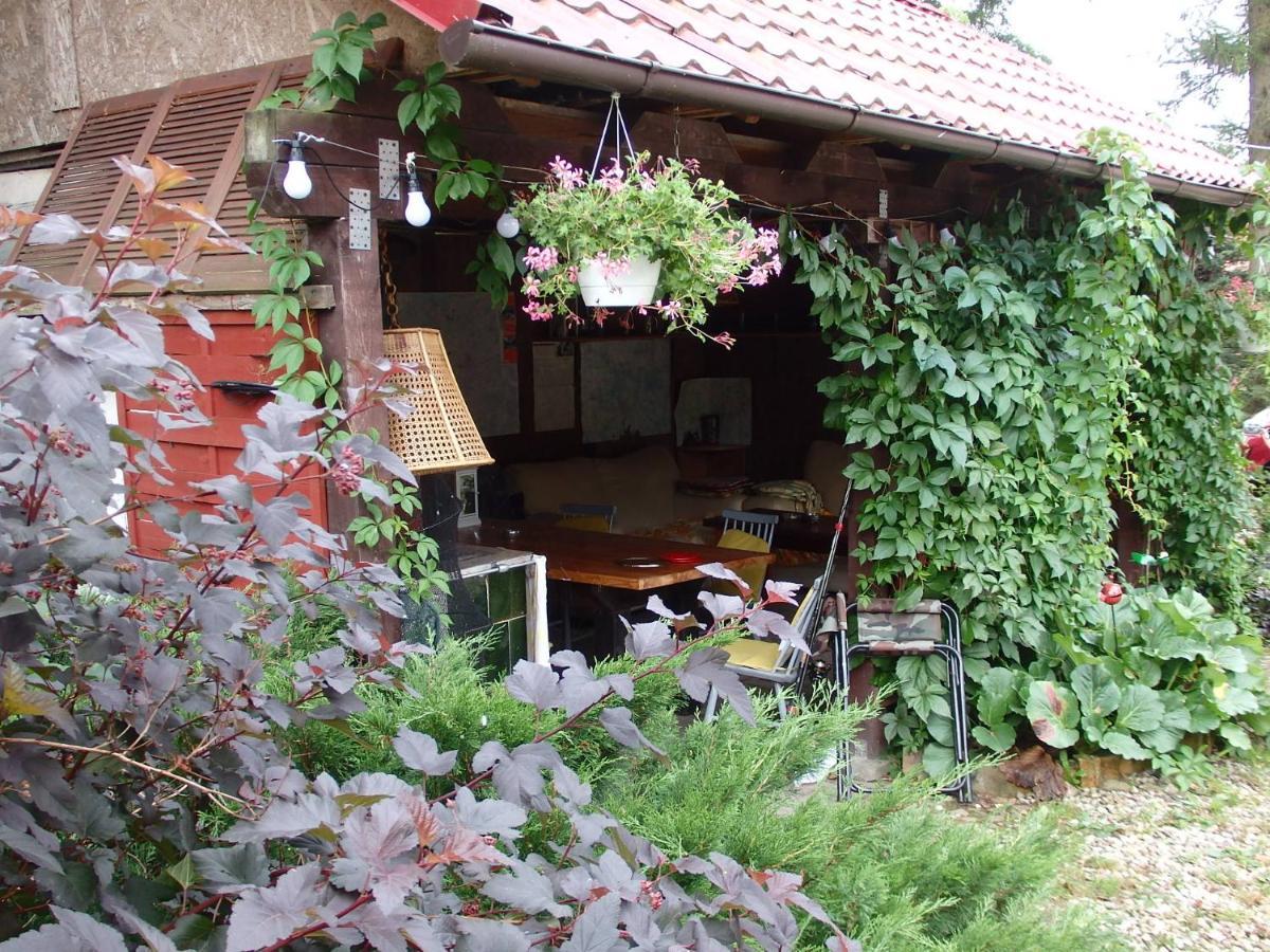 Krakowskie Mazury Gradzkie  エクステリア 写真